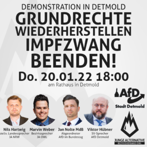 Read more about the article Demo für Grundrechte Detmold 20.01.22