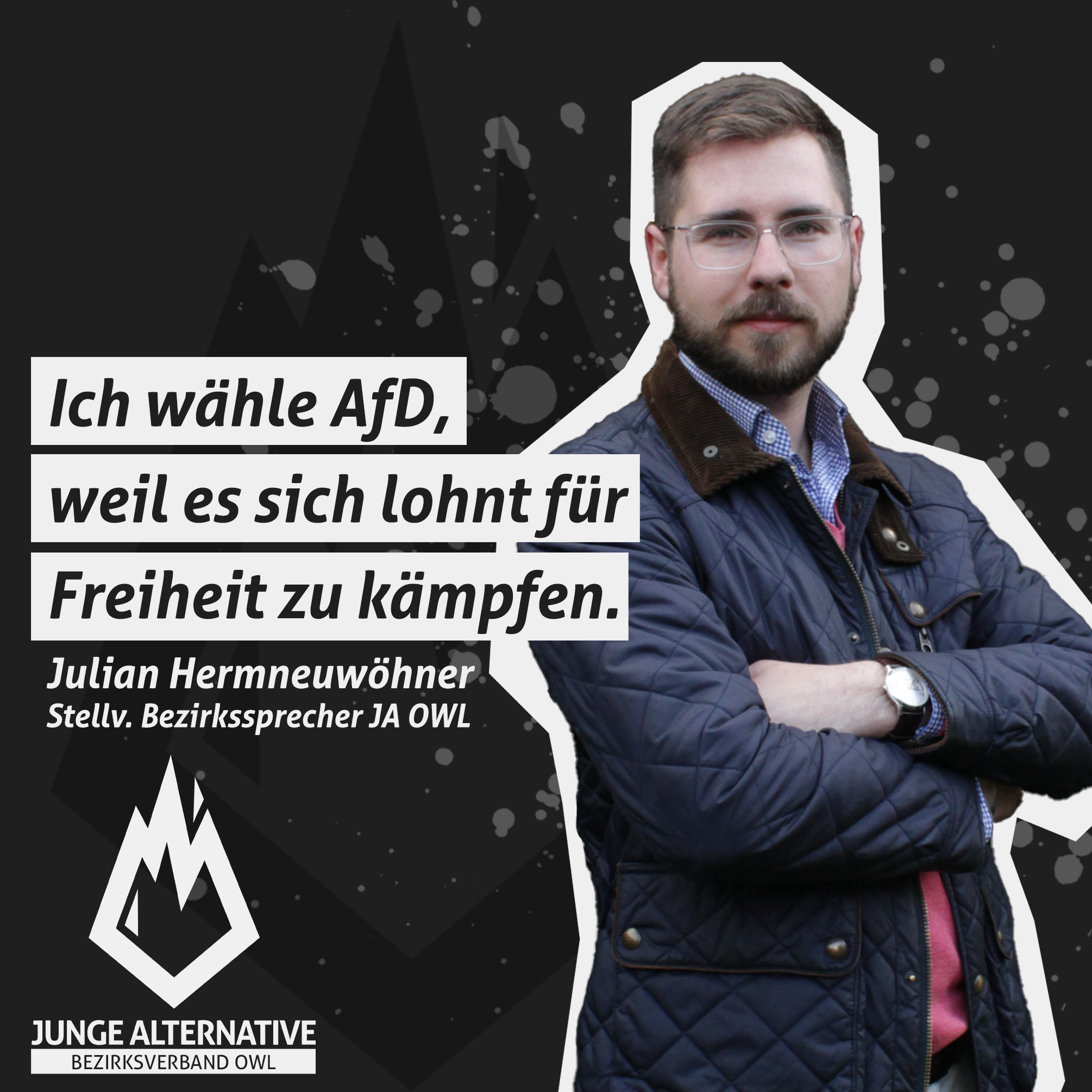 Read more about the article Ich wähle AfD, weil Freiheit ein hohes Gut ist!